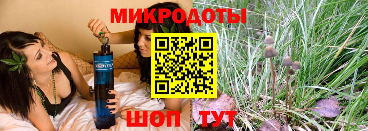 Галлюциногенные грибы Cubensis  Вход с VPN  Кувандык 