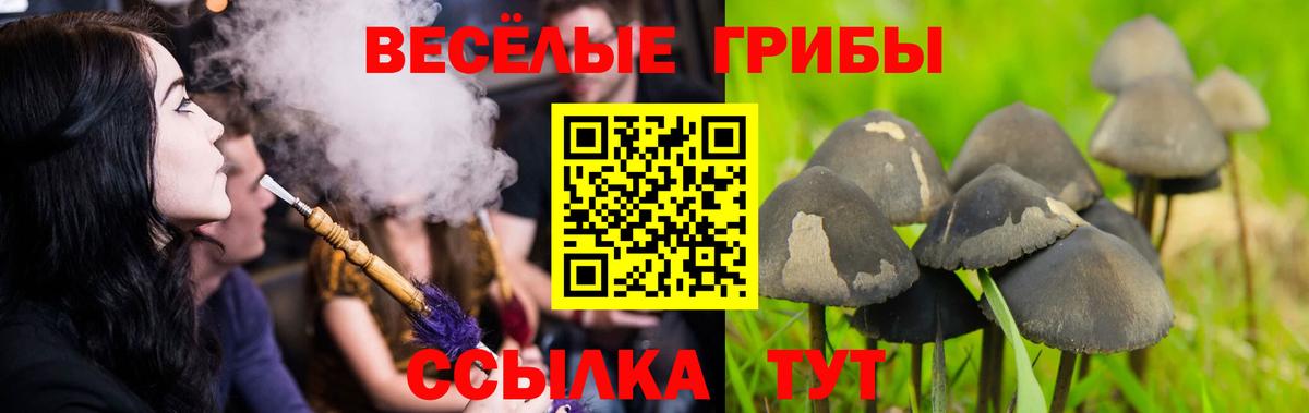 Псилоцибиновые грибы ЛСД Кувандык