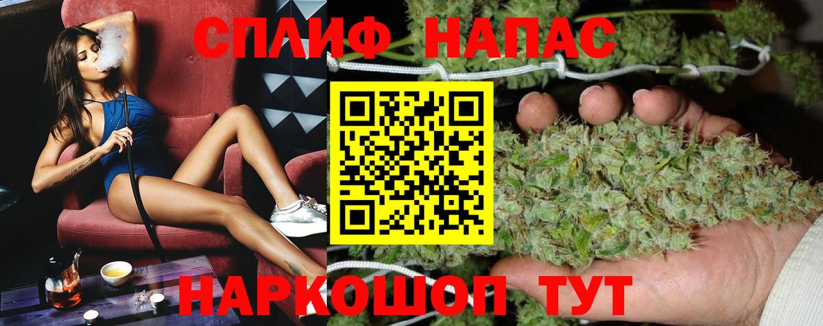 Канабис сатива Кувандык